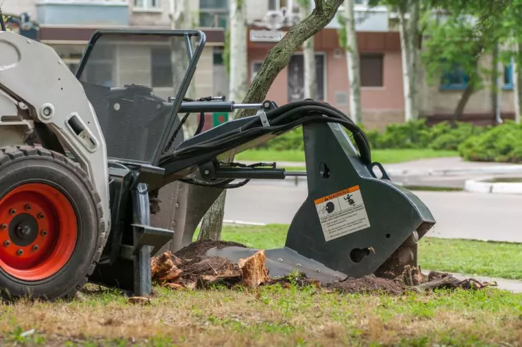 Faire un déssouchage pour construire une maison, Maubeuge, Dupas Terrassement
